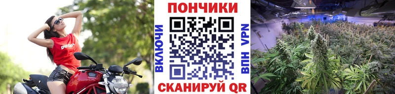 Купить закладку Cocaine  АМФЕТАМИН  ГАШ  Экстази  Alpha PVP  Меф  Псилоцибиновые грибы  Макушино
