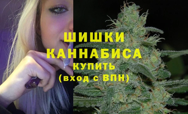МДПВ Заводоуковск