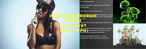 МДПВ Заводоуковск
