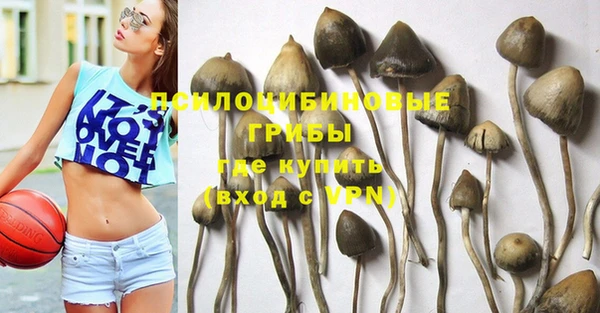 дживик Заволжск