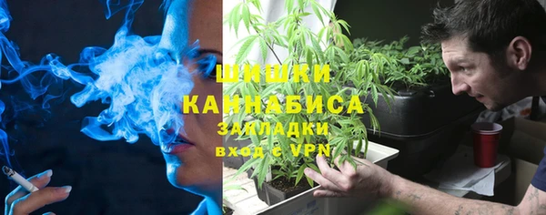 молекула духа Зеленокумск