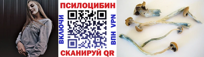 Купить  Макушино  Галлюциногенные грибы Magic Shrooms 